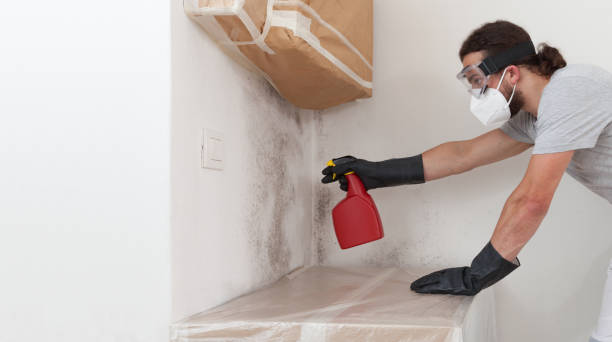 Professional Mold Remediation technician working in Greenville, VA
