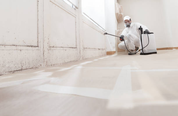 24/7 Emergency Mold Remediation experts in Greenville, VA