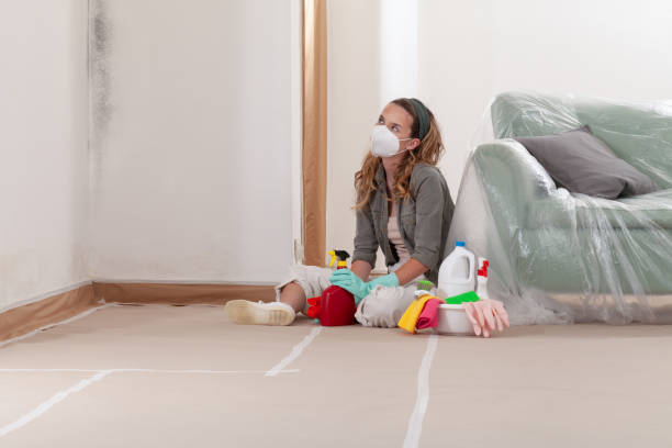 Reliable Mold Remediation contractor in Greenville, VA by 24 Hour Mold Removal